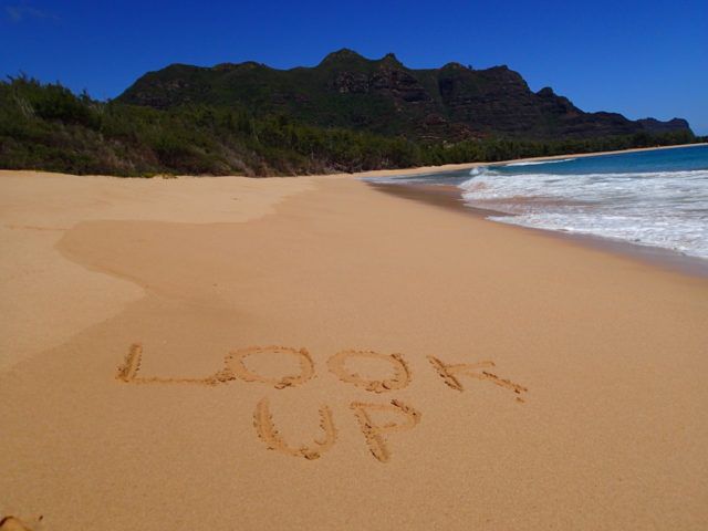 Look_Up_Kipukaki_Kauai_Hawaii_Image