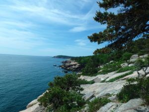 Sunny_Ocean_Path_Acadia_National_Park_Maine