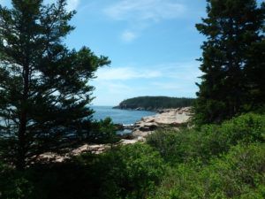 Ocean_Path_Acadia_National_Park_by_Heidi_Siefkas
