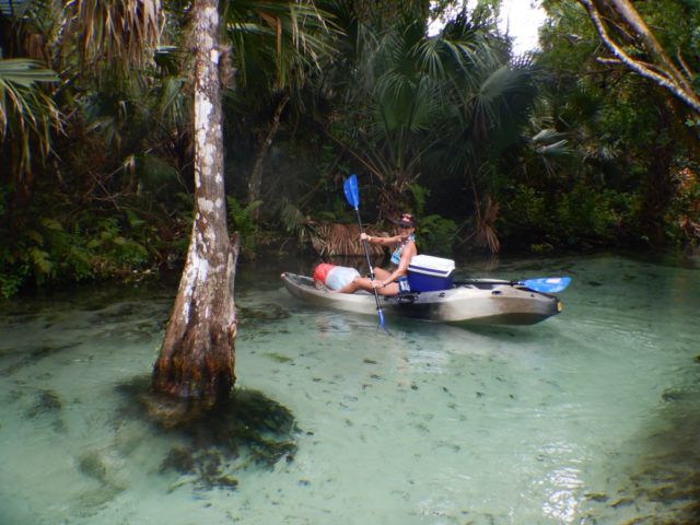 Author_Heidi_Siefkas_Emerald_Cut_Kayaking_Wekiwa_River_Florida