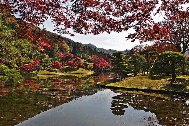 japan-kyoto-park