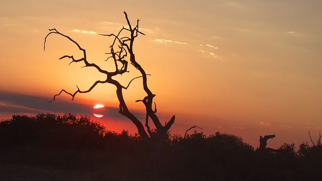 sunset-chobe-national-park