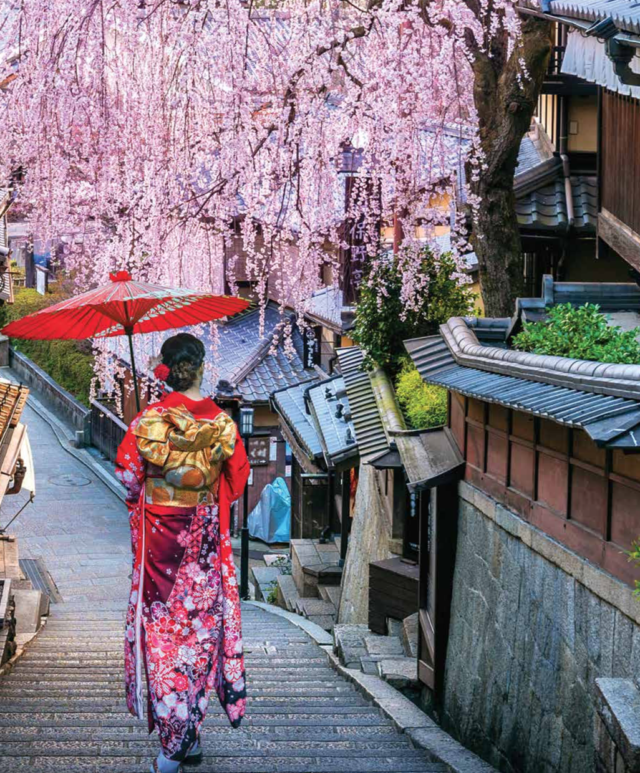Geisha_and_Cherry_Blossoms_Kyoto_Japan_Home_By_Design