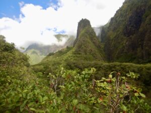 Iao_Valley_Maui_with_Strawberry_Guava_by_Author_heidi_Siefkas