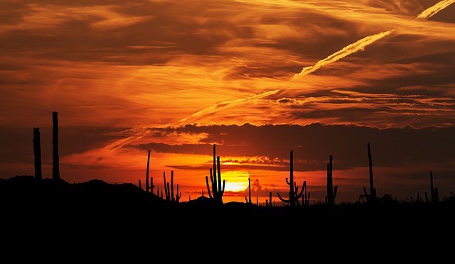 sunset-sonoran-desert-arizona