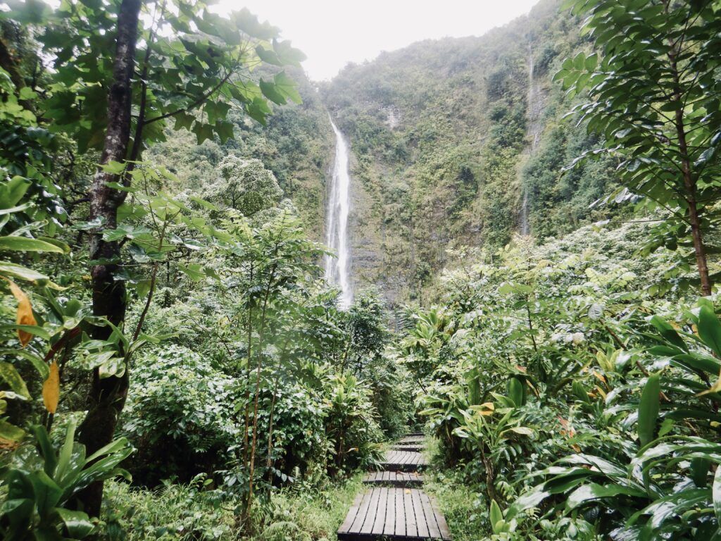 Pipiwai_Waterfall_Maui_by_Heidi_Siefkas