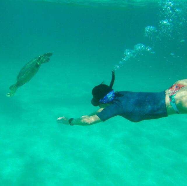 Heidi_Siefkas_Snorkeling_with_Turtle_Olowalu_Maui
