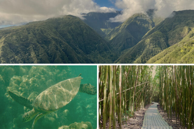 Maui Adventure Collage